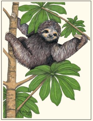 Stickers: Creatures Sloth Wave 3x